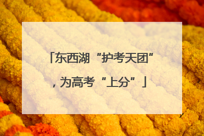 东西湖“护考天团”，为高考“上分”
