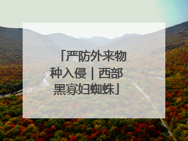严防外来物种入侵｜西部黑寡妇蜘蛛
