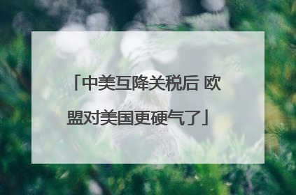 中美互降关税后 欧盟对美国更硬气了