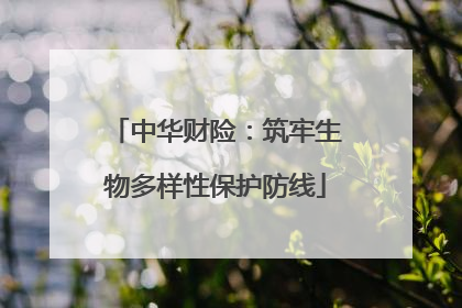 中华财险：筑牢生物多样性保护防线