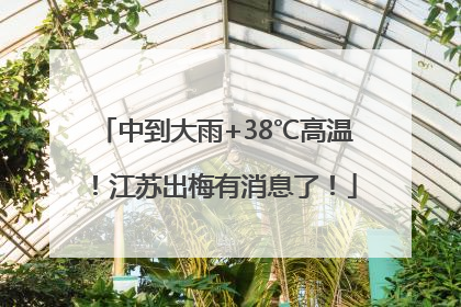 中到大雨+38℃高温！江苏出梅有消息了！