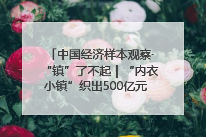 中国经济样本观察·“镇”了不起｜“内衣小镇”织出500亿元“里子产业”