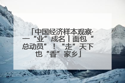 中国经济样本观察·一“业”成名丨面包“总动员”！“走”天下也“香”家乡