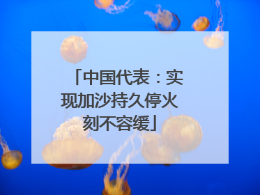 中国代表：实现加沙持久停火刻不容缓