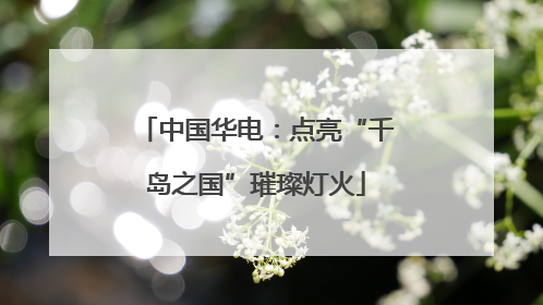 中国华电：点亮“千岛之国”璀璨灯火