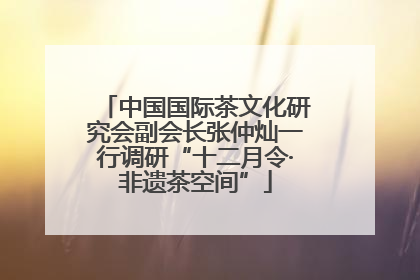 中国国际茶文化研究会副会长张仲灿一行调研“十二月令·非遗茶空间”