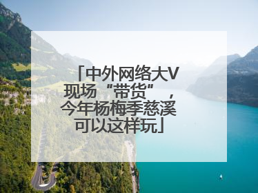 中外网络大V现场“带货”，今年杨梅季慈溪可以这样玩