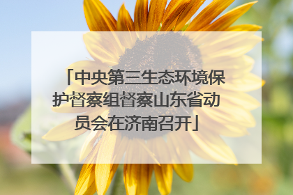 中央第三生态环境保护督察组督察山东省动员会在济南召开