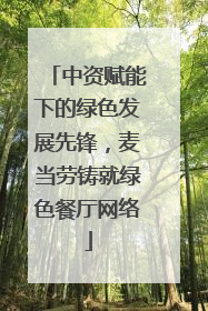 中资赋能下的绿色发展先锋，麦当劳铸就绿色餐厅网络