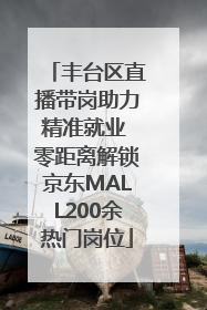 丰台区直播带岗助力精准就业 零距离解锁京东MALL200余热门岗位