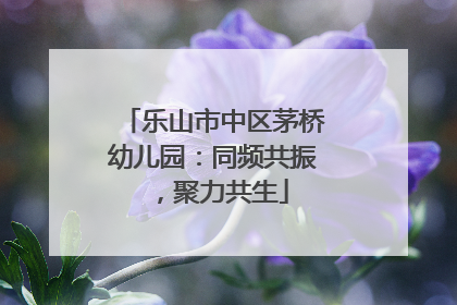 乐山市中区茅桥幼儿园：同频共振，聚力共生