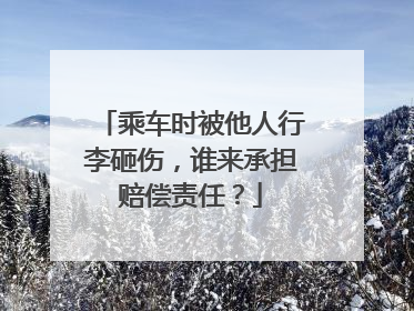 乘车时被他人行李砸伤，谁来承担赔偿责任？