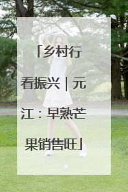 乡村行 看振兴｜元江：早熟芒果销售旺