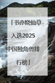 书亦烧仙草入选2025中国独角兽排行榜