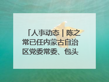 人事动态｜陈之常已任内蒙古自治区党委常委、包头市委书记