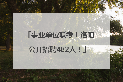 事业单位联考！洛阳公开招聘482人！