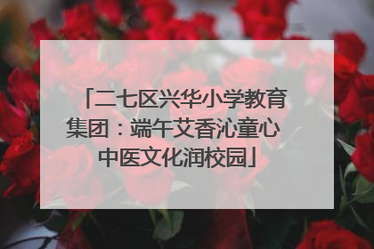 二七区兴华小学教育集团：端午艾香沁童心 中医文化润校园