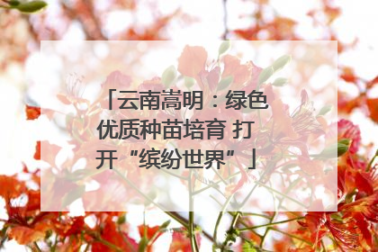 云南嵩明：绿色优质种苗培育 打开“缤纷世界”