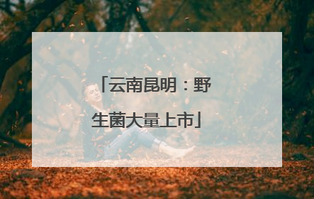 云南昆明：野生菌大量上市