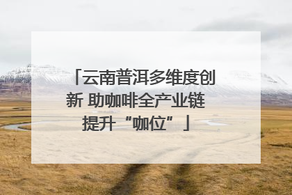 云南普洱多维度创新 助咖啡全产业链提升“咖位”