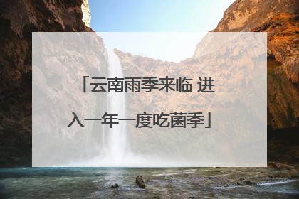 云南雨季来临 进入一年一度吃菌季