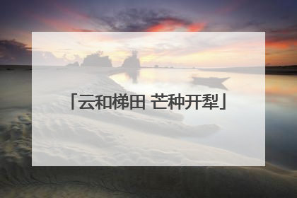 云和梯田 芒种开犁