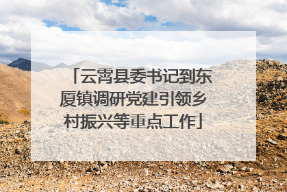 云霄县委书记到东厦镇调研党建引领乡村振兴等重点工作