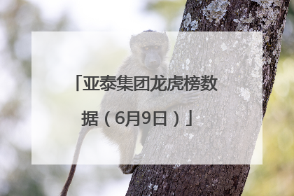 亚泰集团龙虎榜数据（6月9日）