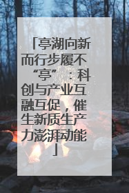 亭湖向新而行步履不“亭”：科创与产业互融互促，催生新质生产力澎湃动能