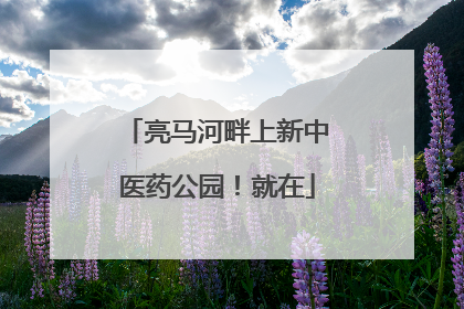 亮马河畔上新中医药公园！就在