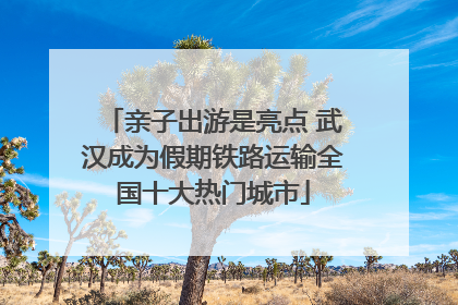 亲子出游是亮点 武汉成为假期铁路运输全国十大热门城市