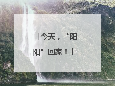 今天，“阳阳”回家！