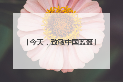 今天，致敬中国蓝盔