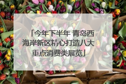 今年下半年 青岛西海岸新区精心打造八大重点消费类展览