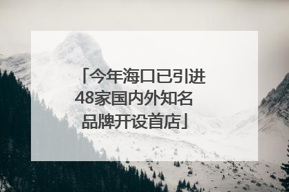 今年海口已引进48家国内外知名品牌开设首店