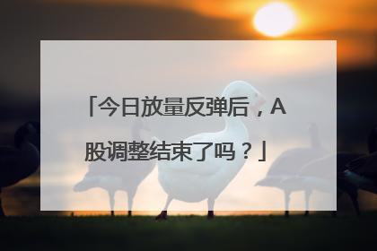今日放量反弹后，A股调整结束了吗？
