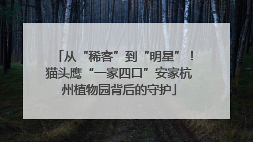 从“稀客”到“明星”！猫头鹰“一家四口”安家杭州植物园背后的守护