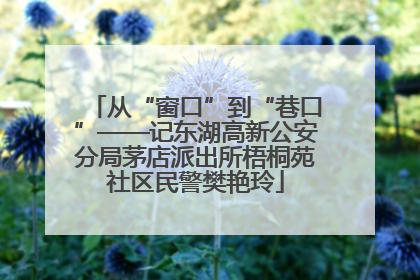 从“窗口”到“巷口”——记东湖高新公安分局茅店派出所梧桐苑社区民警樊艳玲