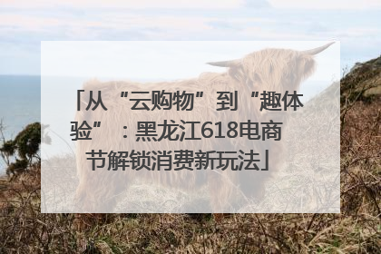 从“云购物”到“趣体验”：黑龙江618电商节解锁消费新玩法
