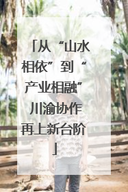 从“山水相依”到“产业相融” 川渝协作再上新台阶
