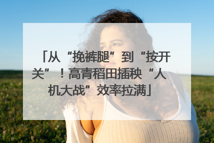 从“挽裤腿”到“按开关”！高青稻田插秧“人机大战”效率拉满
