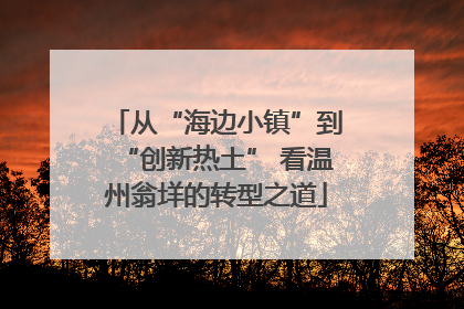 从“海边小镇”到“创新热土” 看温州翁垟的转型之道