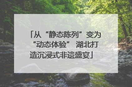 从“静态陈列”变为“动态体验” 湖北打造沉浸式非遗盛宴