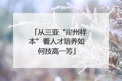 从三亚“崖州样本”看人才培养如何技高一筹
