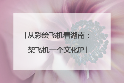 从彩绘飞机看湖南：一架飞机一个文化IP