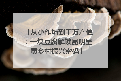 从小作坊到千万产值：一块豆腐解锁昆明呈贡乡村振兴密码
