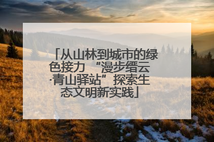 从山林到城市的绿色接力 “漫步缙云·青山驿站”探索生态文明新实践