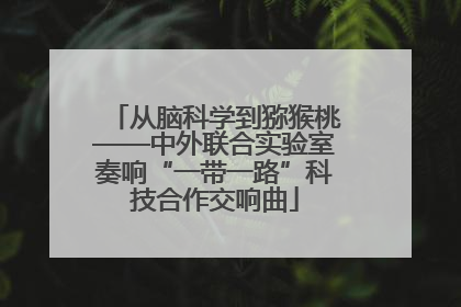 从脑科学到猕猴桃——中外联合实验室奏响“一带一路”科技合作交响曲