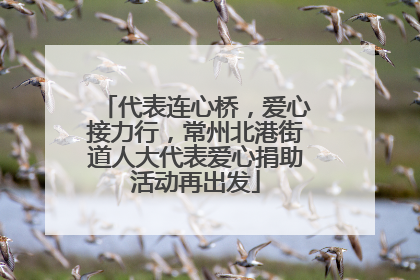 代表连心桥，爱心接力行，常州北港街道人大代表爱心捐助活动再出发
