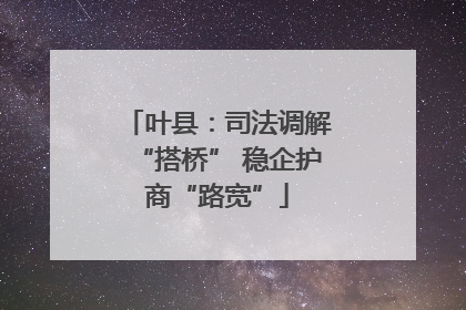 叶县：司法调解“搭桥” 稳企护商“路宽”
